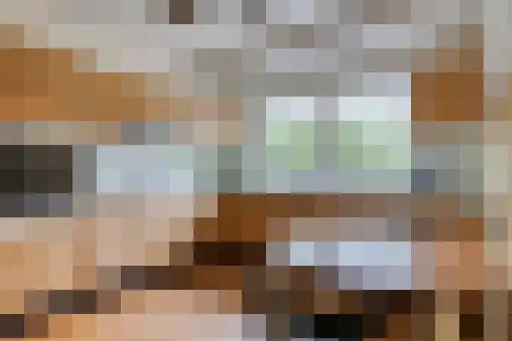 Pater de Leeuwstraat 31 Beek en Donk thumbnail 11