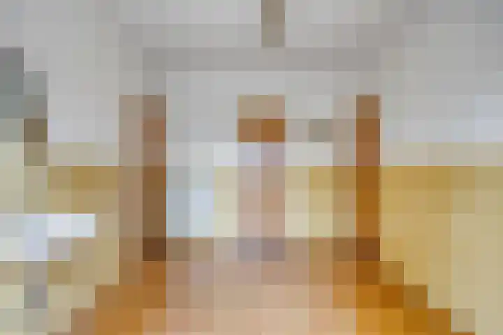 Pater de Leeuwstraat 31 Beek en Donk thumbnail 12