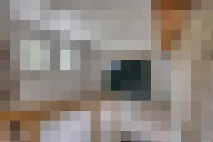 Pater de Leeuwstraat 31 Beek en Donk thumbnail 14