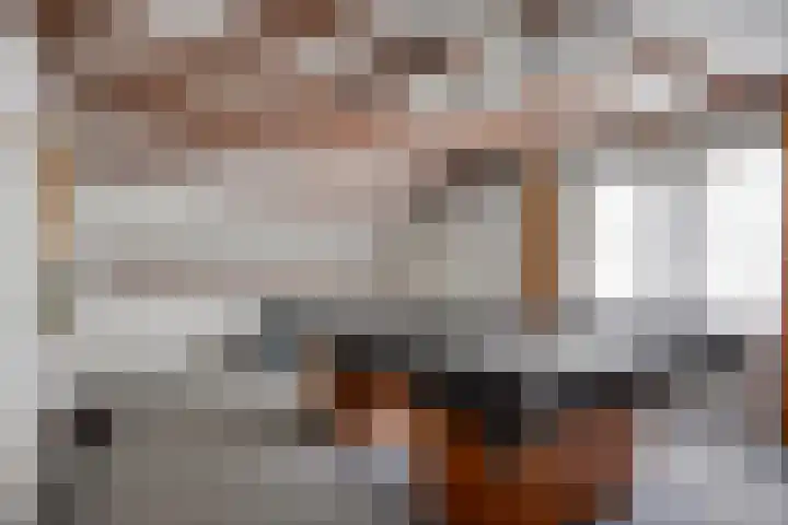 Pater de Leeuwstraat 31 Beek en Donk thumbnail 16