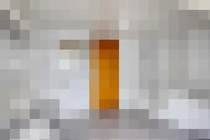 Pater de Leeuwstraat 31 Beek en Donk thumbnail 23