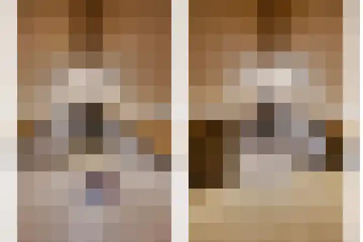 Pater de Leeuwstraat 31 Beek en Donk thumbnail 25