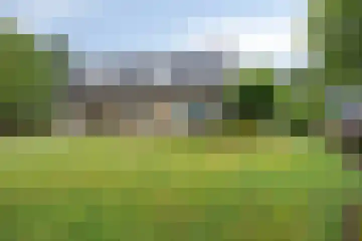 Pater de Leeuwstraat 31 Beek en Donk thumbnail 26