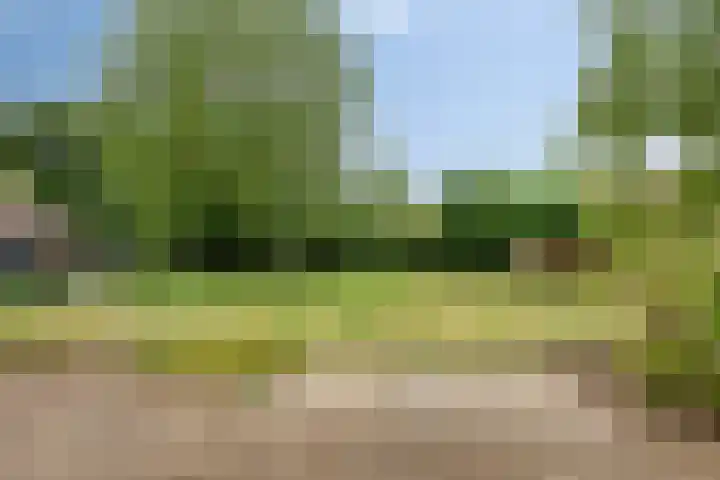 Pater de Leeuwstraat 31 Beek en Donk thumbnail 28
