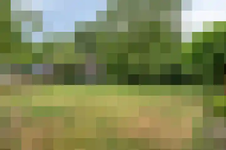 Pater de Leeuwstraat 31 Beek en Donk thumbnail 29