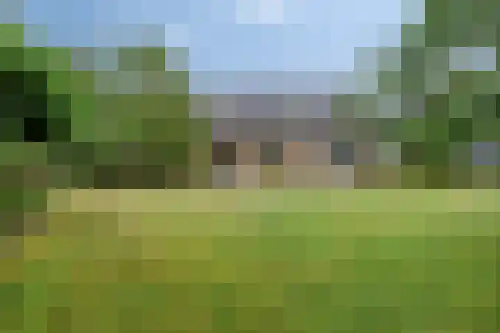 Pater de Leeuwstraat 31 Beek en Donk thumbnail 30