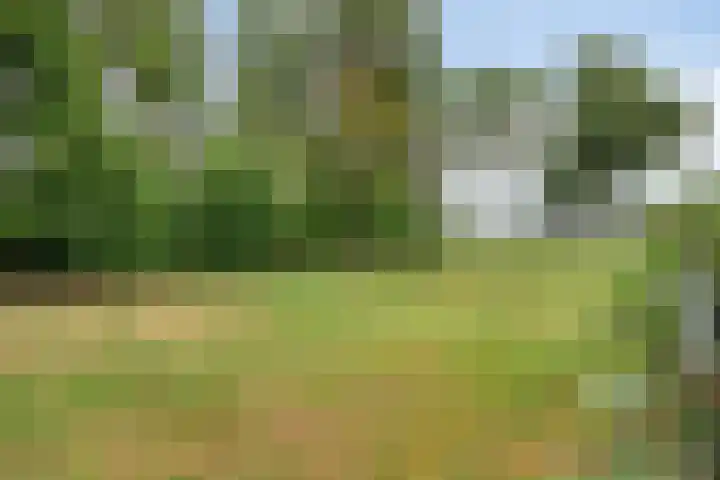 Pater de Leeuwstraat 31 Beek en Donk thumbnail 31