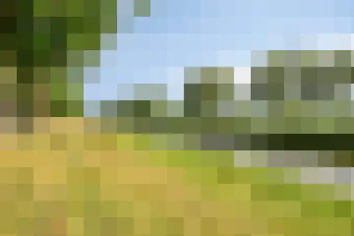 Pater de Leeuwstraat 31 Beek en Donk thumbnail 32
