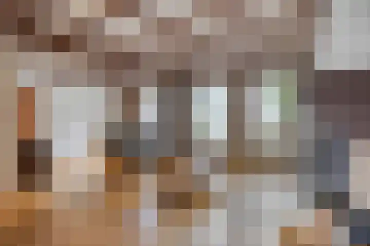 Pater de Leeuwstraat 31 Beek en Donk thumbnail 6