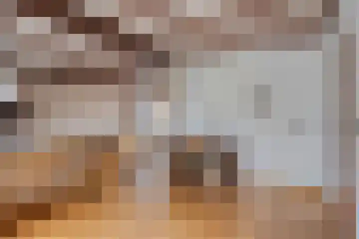 Pater de Leeuwstraat 31 Beek en Donk thumbnail 7