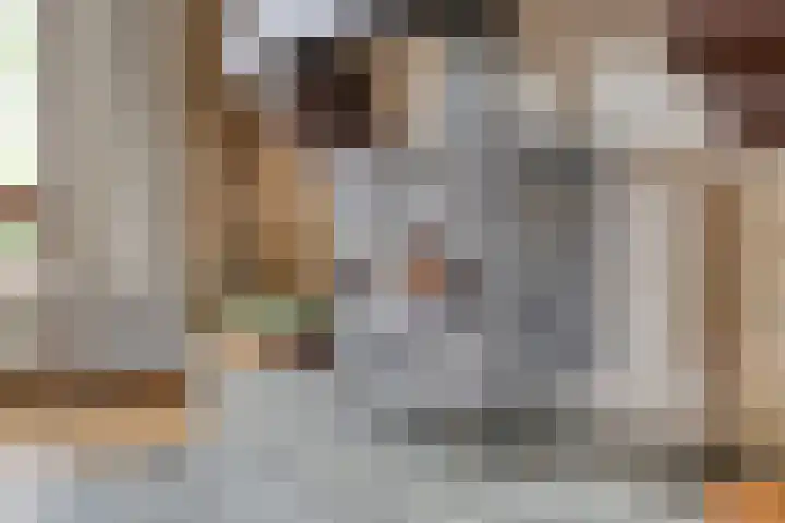 Pater de Leeuwstraat 31 Beek en Donk thumbnail 8