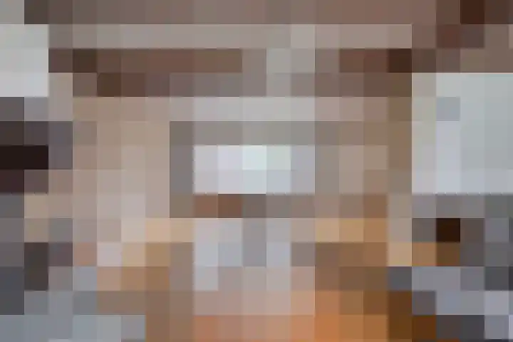 Pater de Leeuwstraat 31 Beek en Donk thumbnail 9