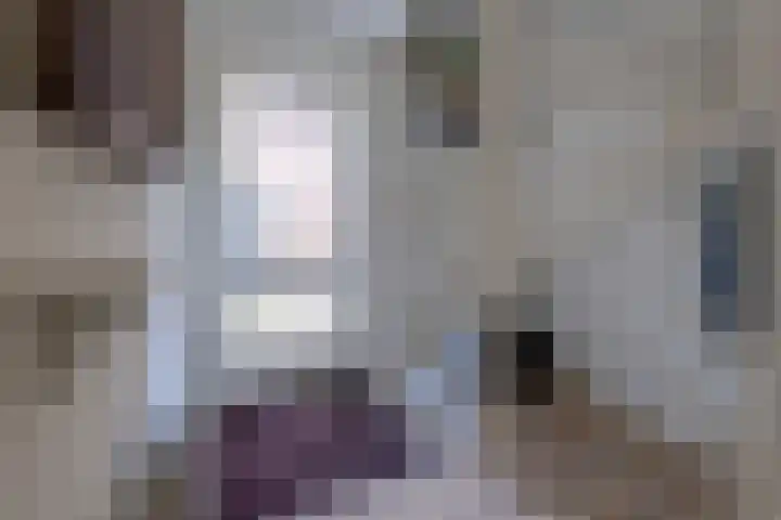 Pater de Leeuwweg 33 Austerlitz thumbnail 14