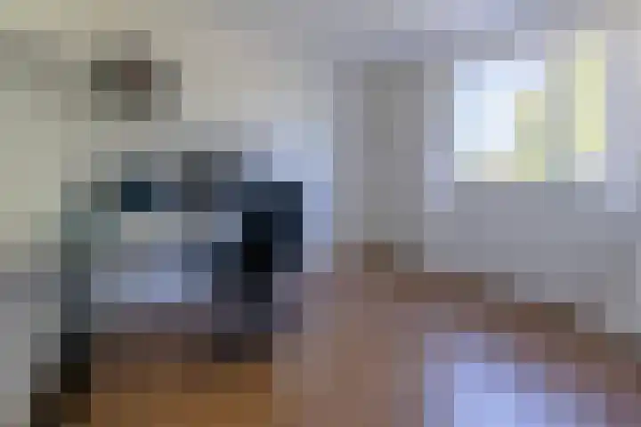 Pater de Leeuwweg 33 Austerlitz thumbnail 18