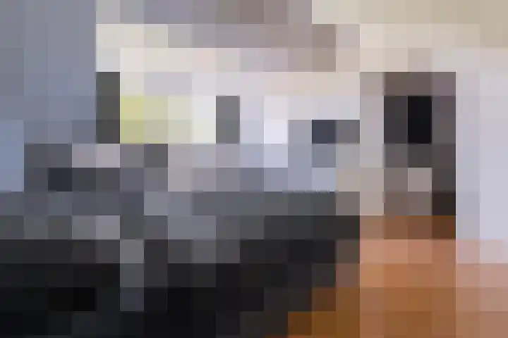 Pater de Leeuwweg 33 Austerlitz thumbnail 24