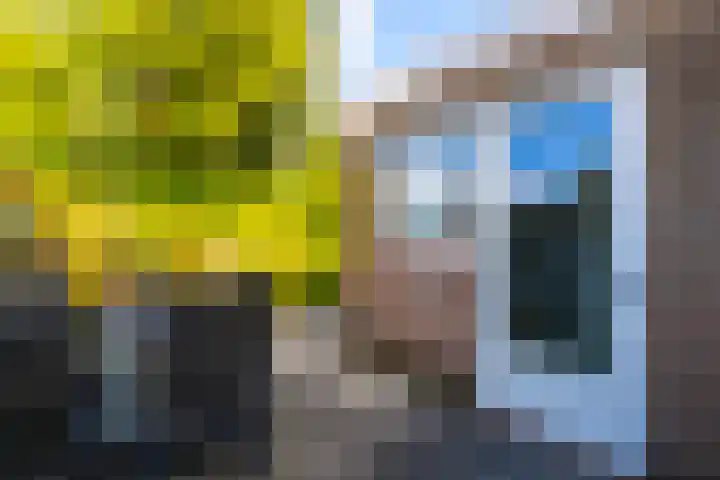 Pater de Leeuwweg 33 Austerlitz thumbnail 25
