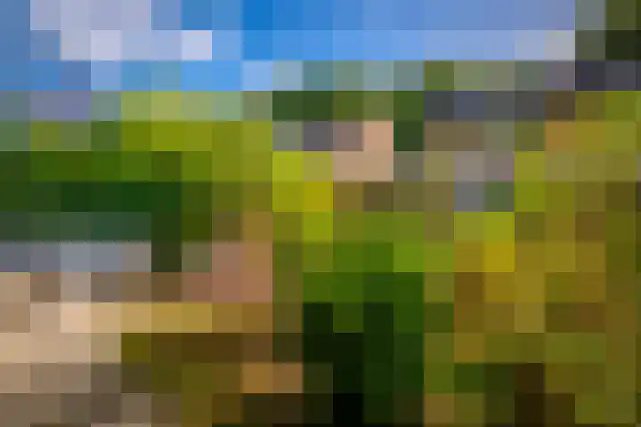 Pater de Leeuwweg 33 Austerlitz thumbnail 26