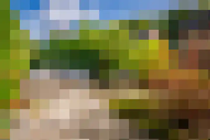 Pater de Leeuwweg 33 Austerlitz thumbnail 27