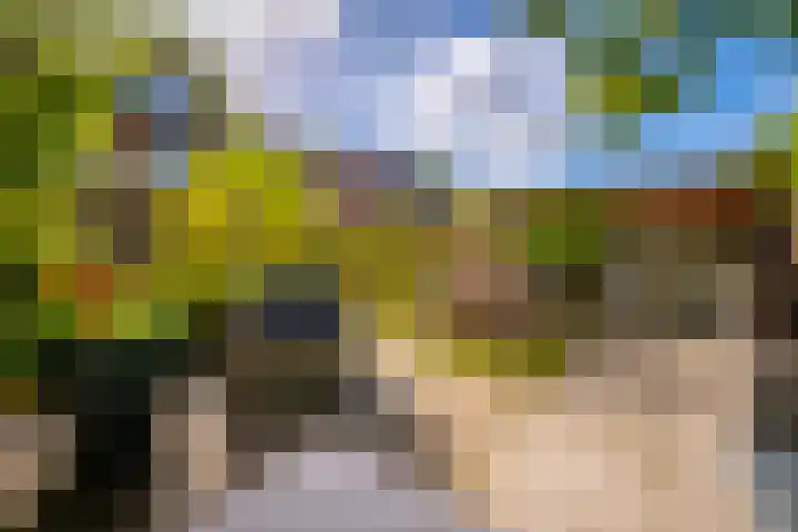 Pater de Leeuwweg 33 Austerlitz thumbnail 28