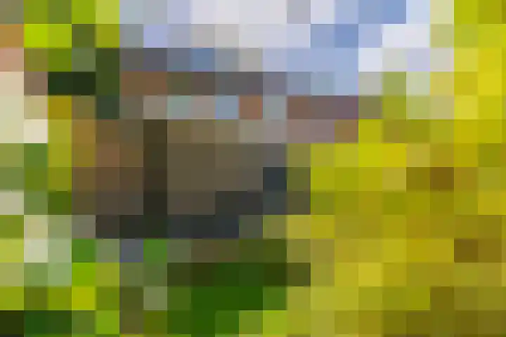 Pater de Leeuwweg 33 Austerlitz thumbnail 29