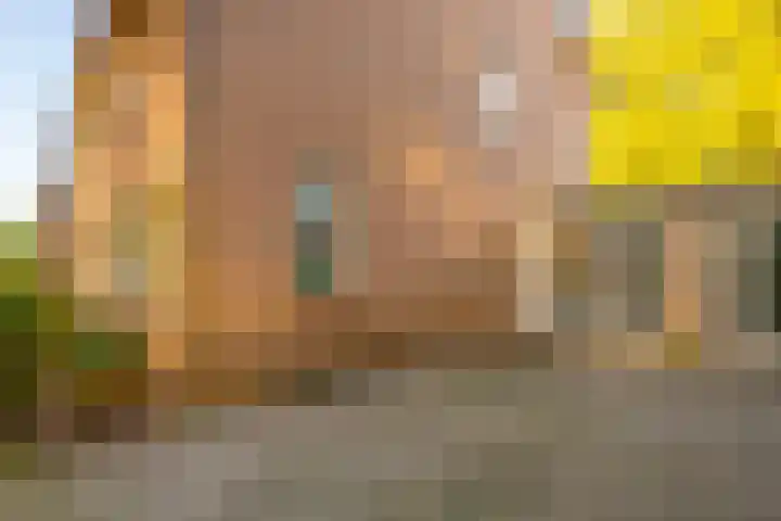 Pater de Leeuwweg 33 Austerlitz thumbnail 30