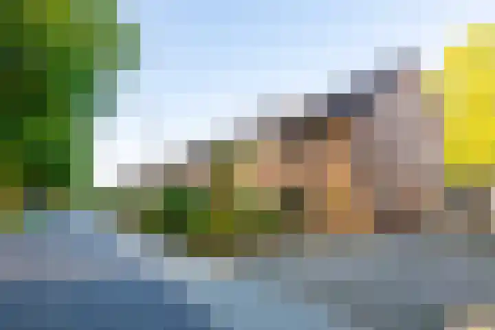 Pater de Leeuwweg 33 Austerlitz thumbnail 31