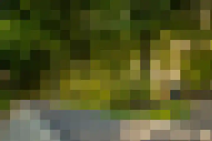 Pater de Leeuwweg 33 Austerlitz thumbnail 32