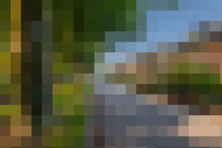 Pater de Leeuwweg 33 Austerlitz thumbnail 33