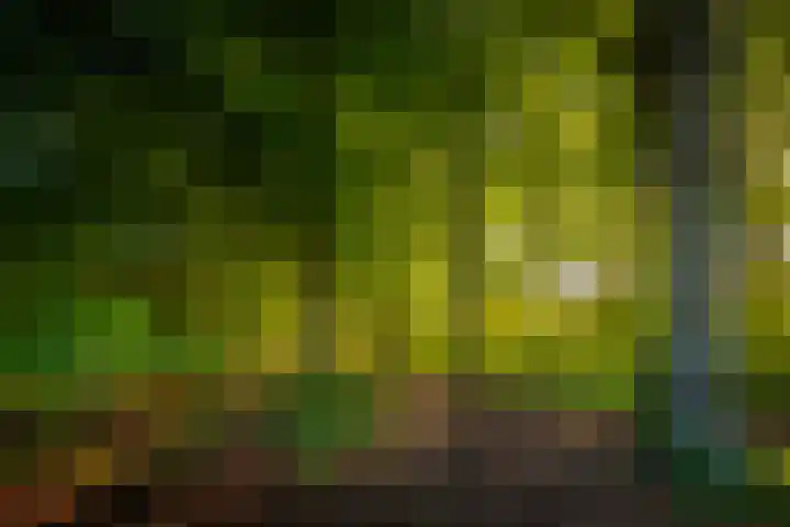 Pater de Leeuwweg 33 Austerlitz thumbnail 34