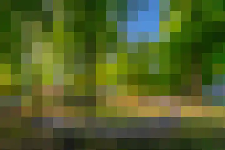 Pater de Leeuwweg 33 Austerlitz thumbnail 35