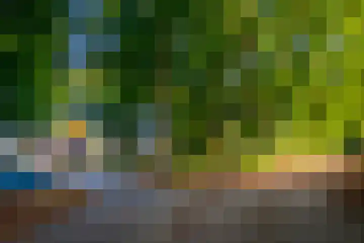 Pater de Leeuwweg 33 Austerlitz thumbnail 36