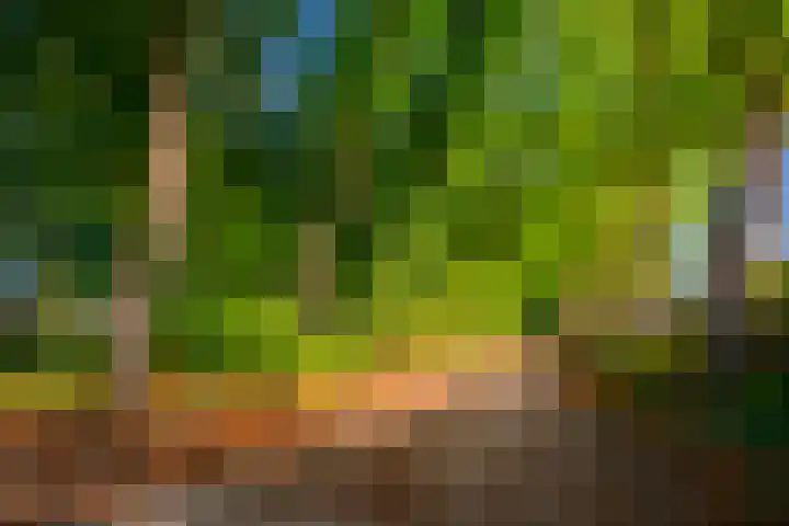 Pater de Leeuwweg 33 Austerlitz thumbnail 37