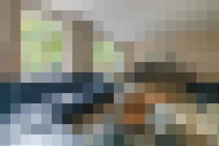 Pater de Leeuwweg 33 Austerlitz thumbnail 4