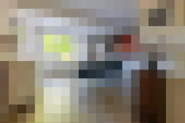 Pater de Leeuwweg 33 Austerlitz thumbnail 8