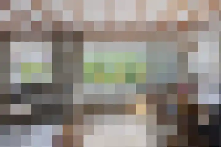 Pater de Witstraat 30 't Zand thumbnail 10
