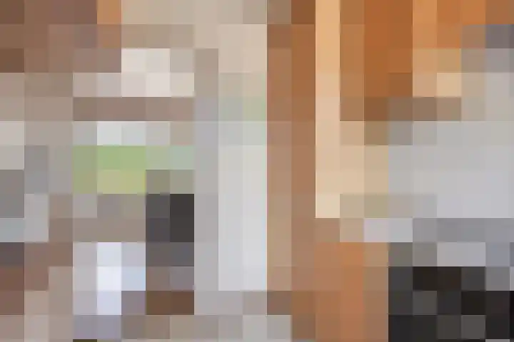Pater de Witstraat 30 't Zand thumbnail 15