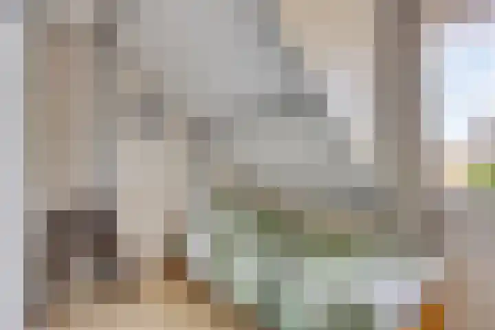 Pater de Witstraat 30 't Zand thumbnail 21