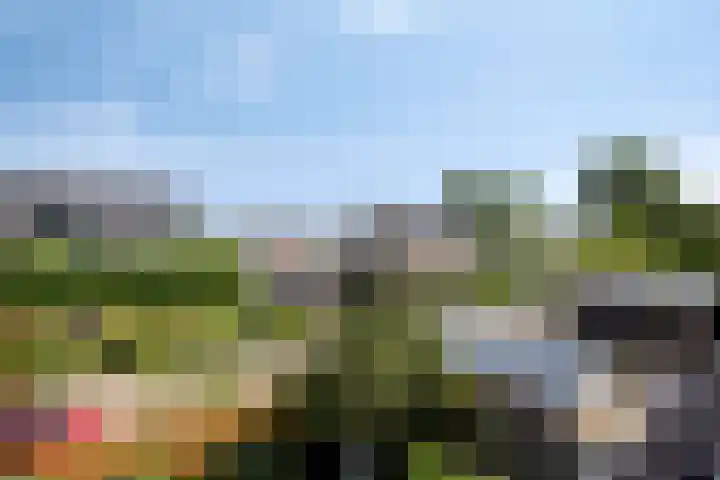 Pater de Witstraat 30 't Zand thumbnail 24