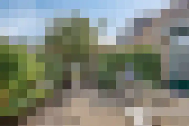 Pater de Witstraat 30 't Zand thumbnail 27