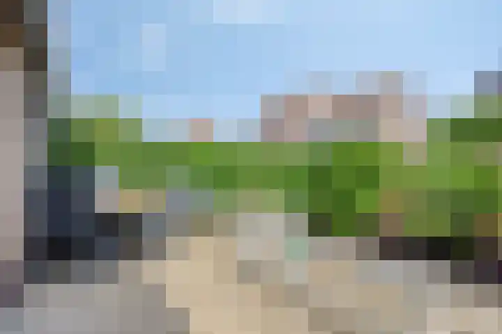 Pater de Witstraat 30 't Zand thumbnail 28