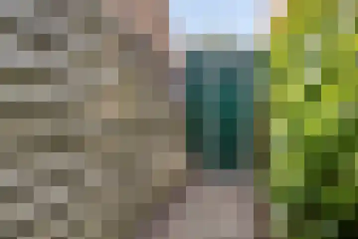 Pater de Witstraat 30 't Zand thumbnail 29