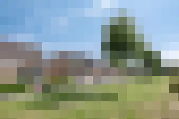 Pater de Witstraat 30 't Zand thumbnail 5
