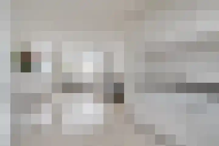 Pater Dehonlaan 13 Bergen op Zoom thumbnail 10