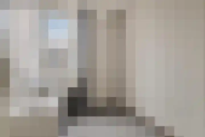 Pater Dehonlaan 13 Bergen op Zoom thumbnail 17
