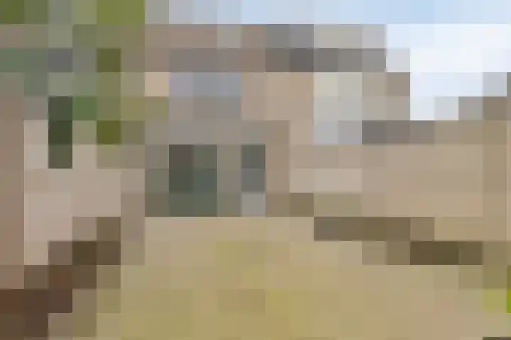 Pater Dehonlaan 13 Bergen op Zoom thumbnail 5