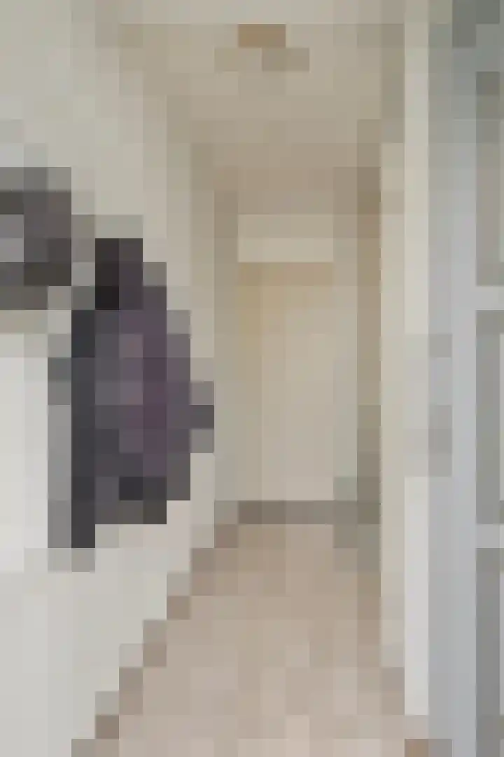 Pater Dehonlaan 13 Bergen op Zoom thumbnail 6