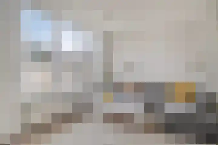 Pater Dehonlaan 13 Bergen op Zoom thumbnail 9