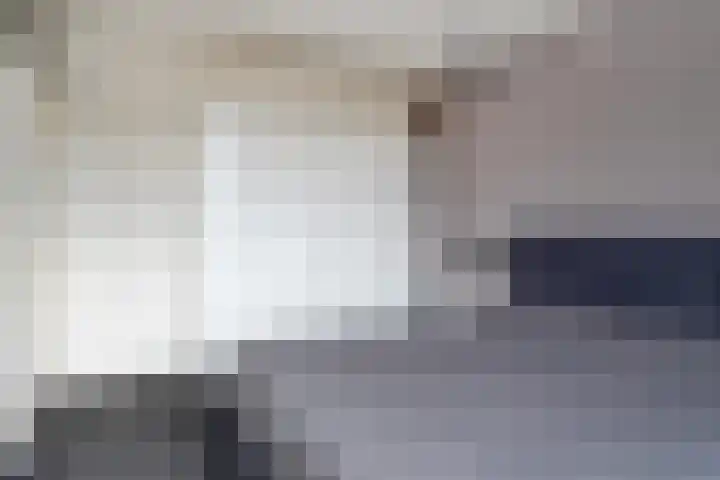 Pater Dehonlaan 25 Bergen op Zoom thumbnail 11