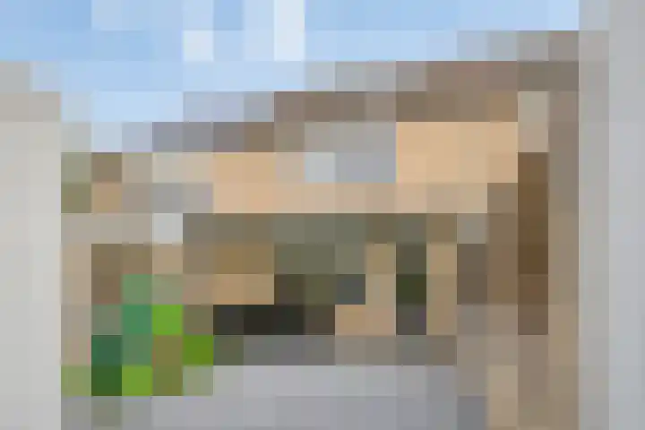 Pater Dehonlaan 25 Bergen op Zoom thumbnail 31