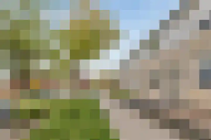 Pater Dehonlaan 25 Bergen op Zoom thumbnail 32